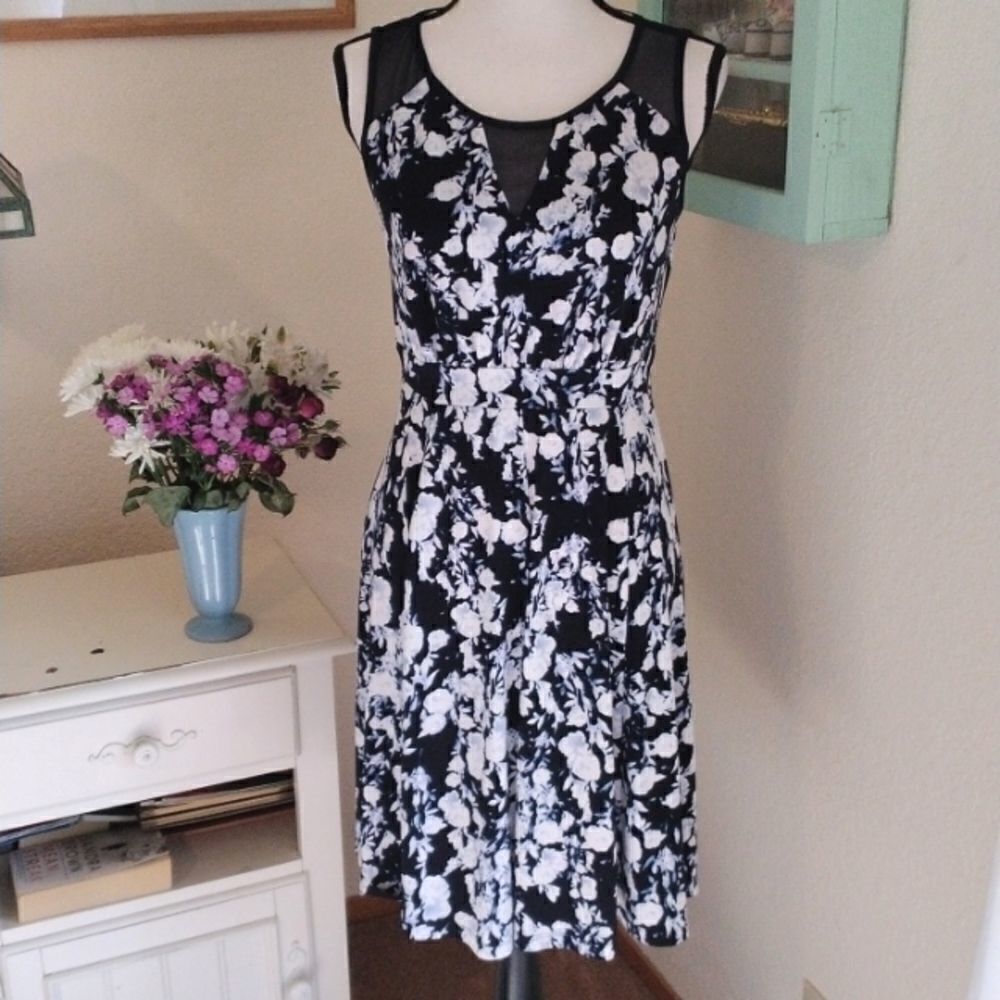 Enfocus Studio Dress With Sheer Accents